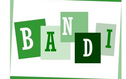 Bando di Concorso – Dottorato di Ricerca (41° ciclo)